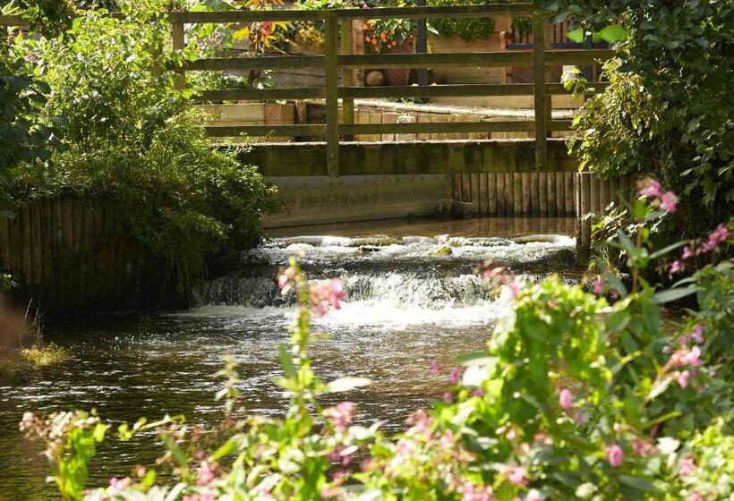 Waterfield House B&b