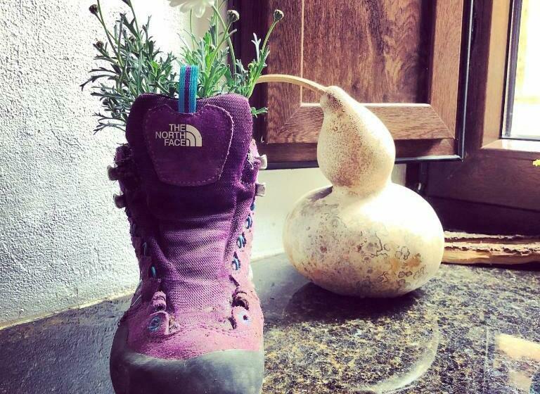 Albergue Rosalia / Pilgrim Hostel