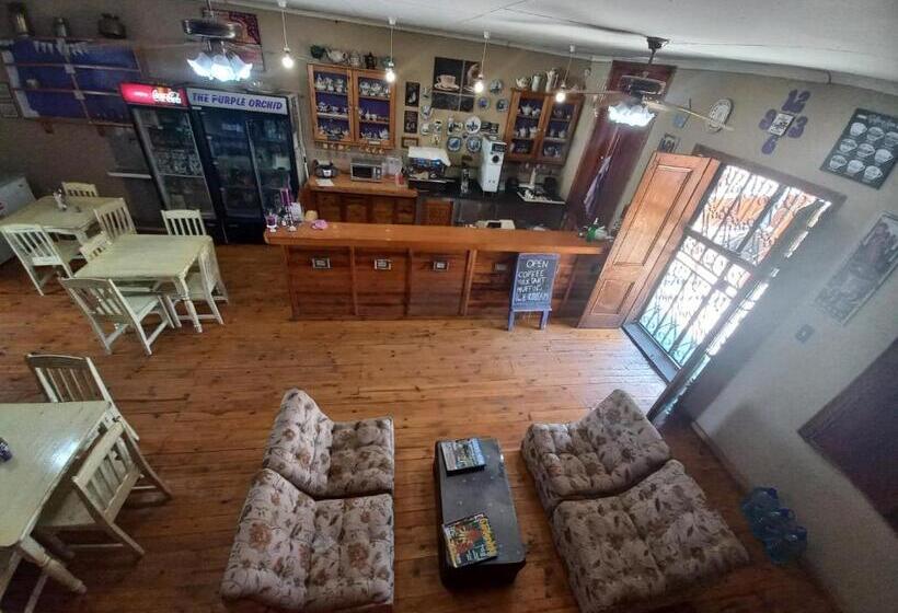 הוסטל The Grey S Inn