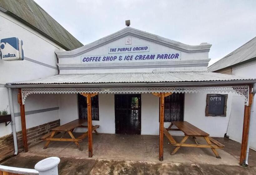 הוסטל The Grey S Inn