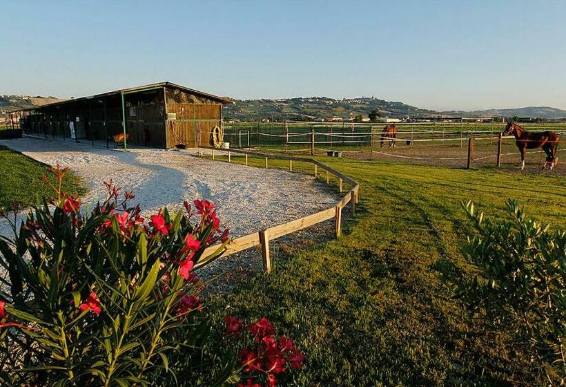 B&b Centro Ippico Andrea