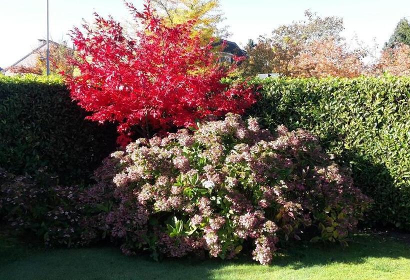 B&b Prince D’orange Waterloo