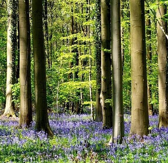 B&b Prince D’orange Waterloo