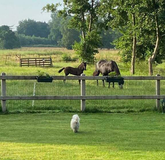 צימר Aan De Leijen