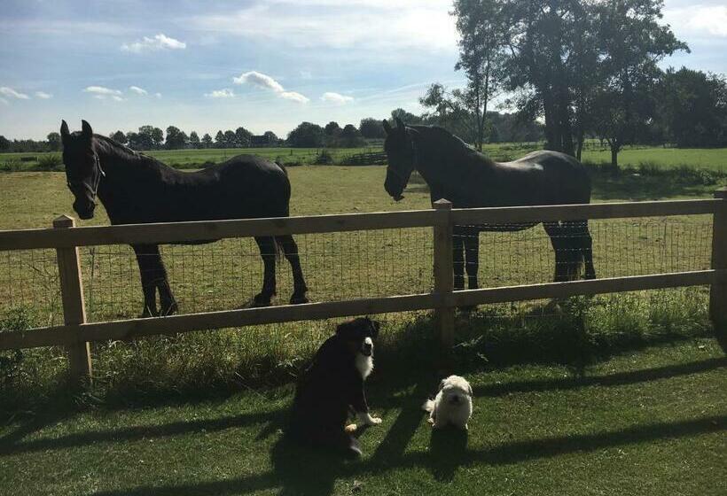 צימר Aan De Leijen