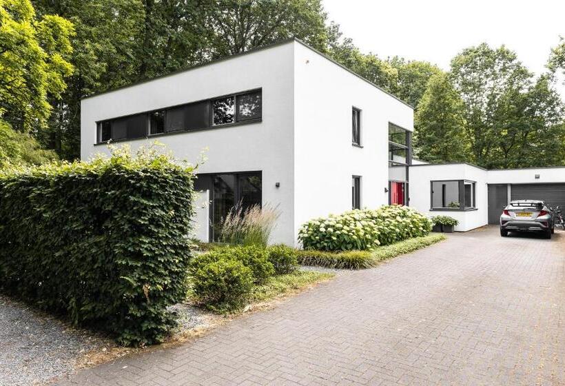 تختخواب و صبحانه Avellano