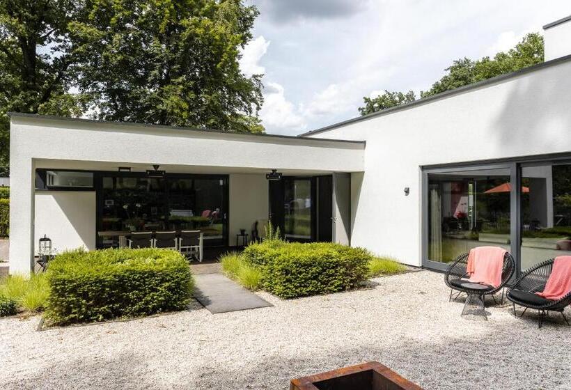 تختخواب و صبحانه Avellano