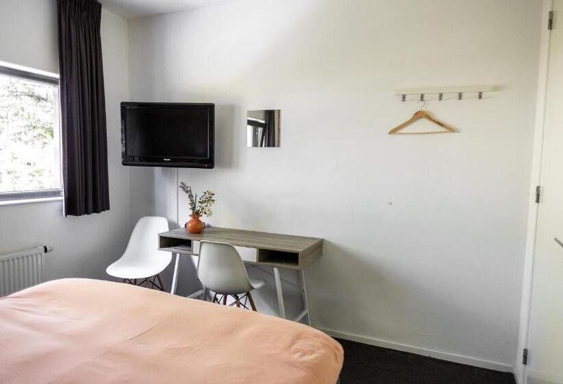 تختخواب و صبحانه Avellano