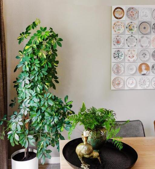 تختخواب و صبحانه Avellano