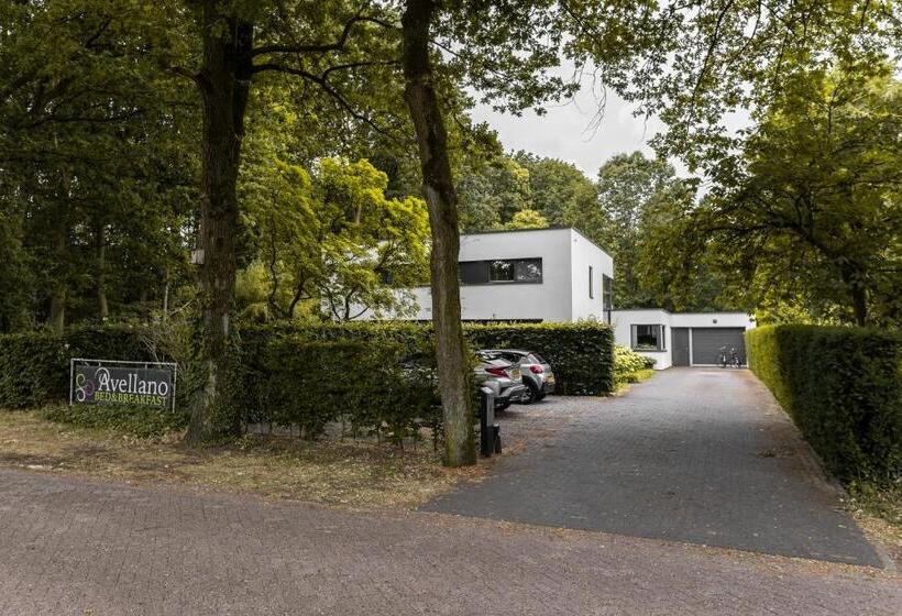 تختخواب و صبحانه Avellano