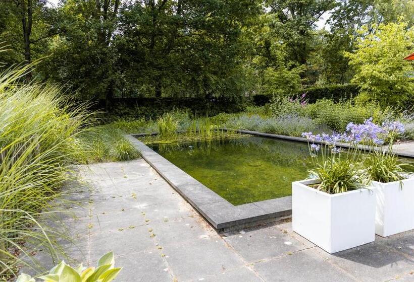 تختخواب و صبحانه Avellano