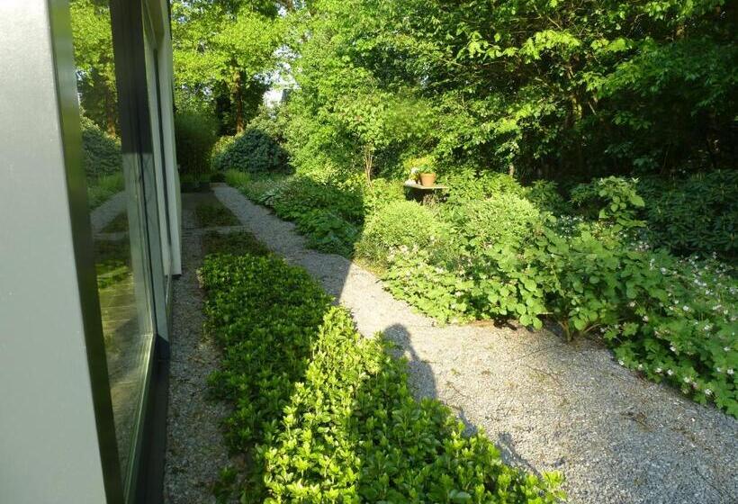 تختخواب و صبحانه Avellano