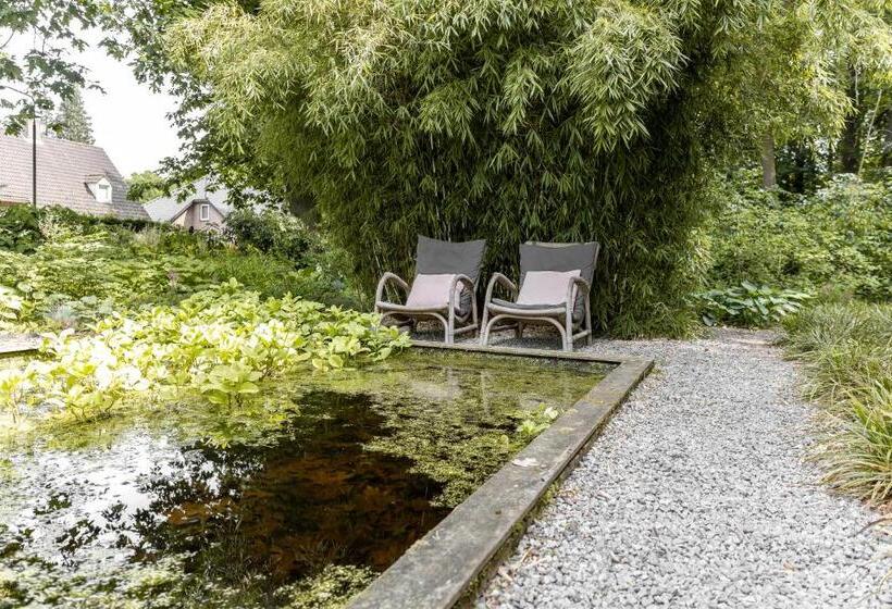 تختخواب و صبحانه Avellano