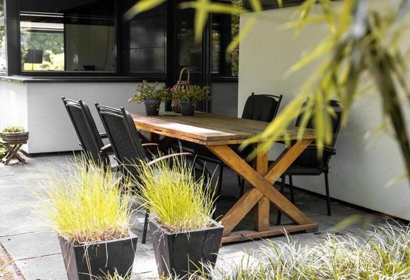 تختخواب و صبحانه Avellano