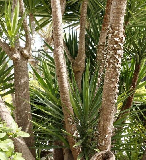 민박 Casa Teresinha