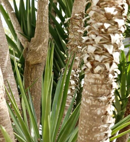 민박 Casa Teresinha