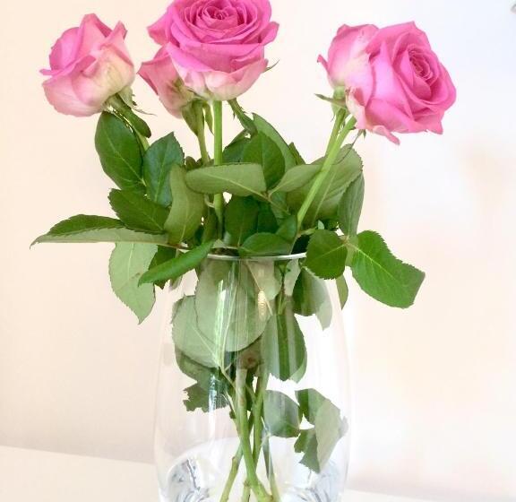 住宿加早餐 Chambre D Hôtes Du Côté Des Remparts