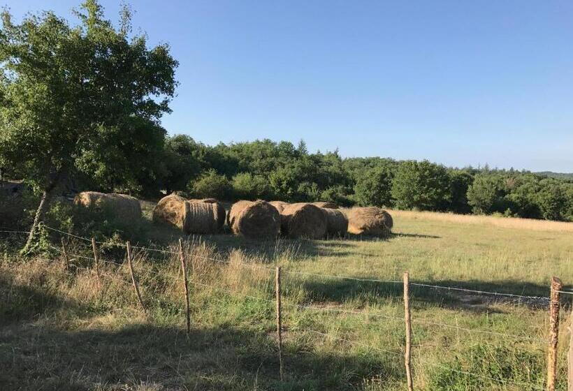 צימר Chambres D Hôtes Pech Blanc