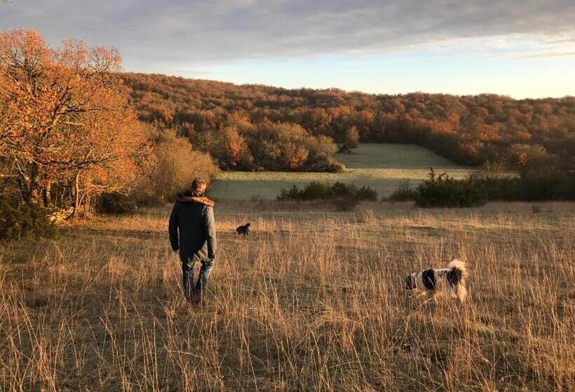 צימר Chambres D Hôtes Pech Blanc