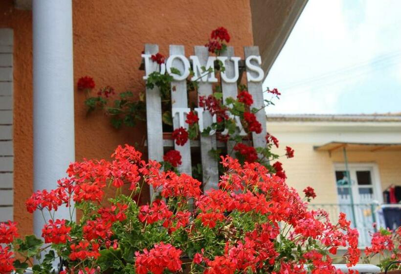 住宿加早餐  Domus Tua