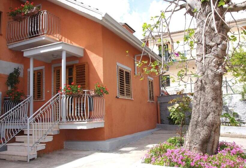 住宿加早餐  Domus Tua