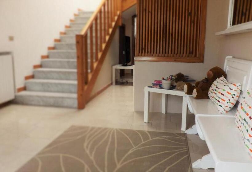 住宿加早餐  Domus Tua