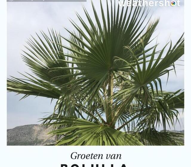 צימר Finca Oliva