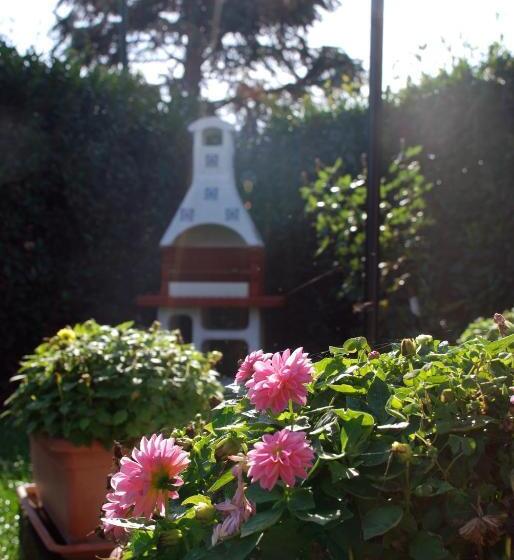 Bed and Breakfast Gatto Matto