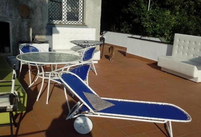 مبيت وإفطار Il Capriolo