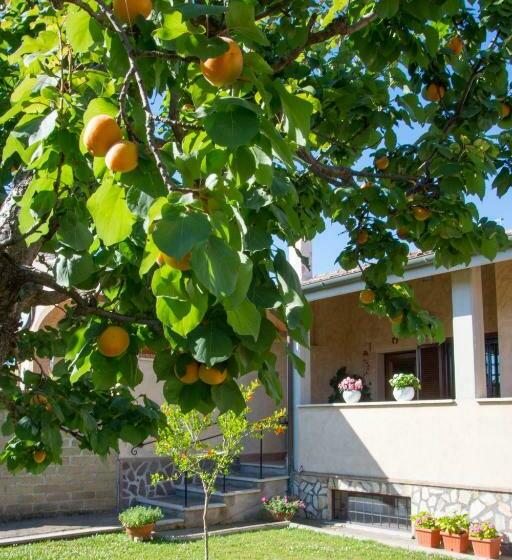 ベッドアンドブレックファースト L Albicocco