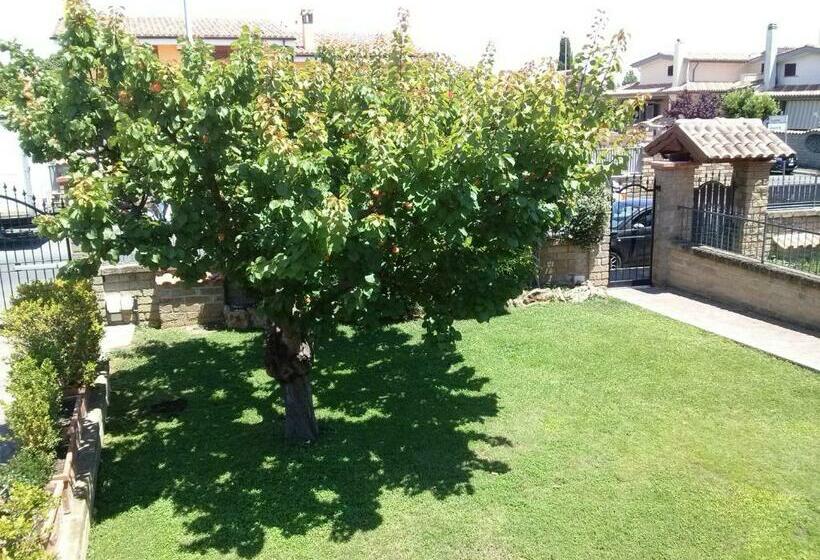 ベッドアンドブレックファースト L Albicocco