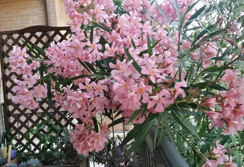 مبيت وإفطار L Incanto