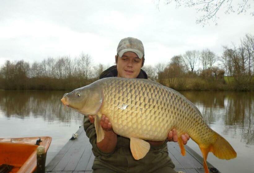 住宿加早餐 La Revaudiere