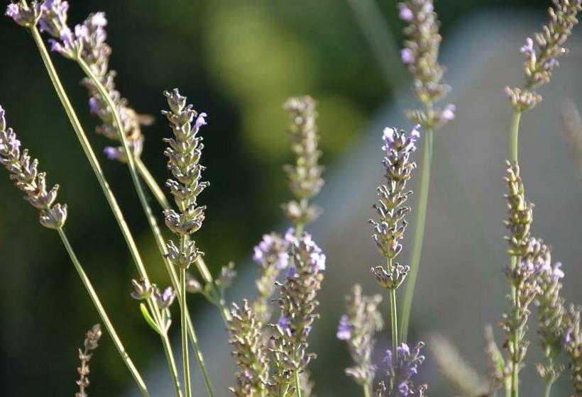 민박 Lalande Laborie