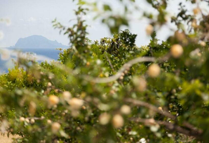 مبيت وإفطار Note Di Salina