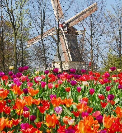 تختخواب و صبحانه Nr22 Leiden