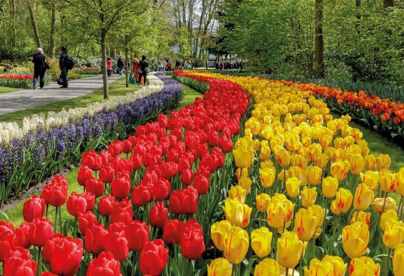 تختخواب و صبحانه Nr22 Leiden