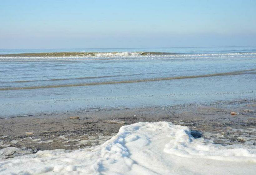 مبيت وإفطار Pension  T Hofje 350 Meter Van Het Strand