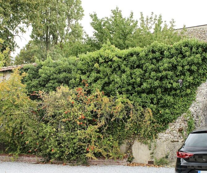 민박 Rêve Champenois Chambres D Hôtes