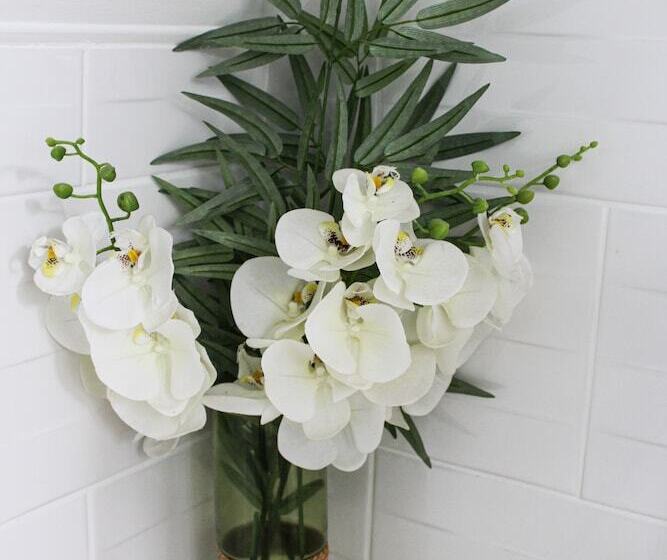 ベッドアンドブレックファースト Rêve Champenois Chambres D Hôtes