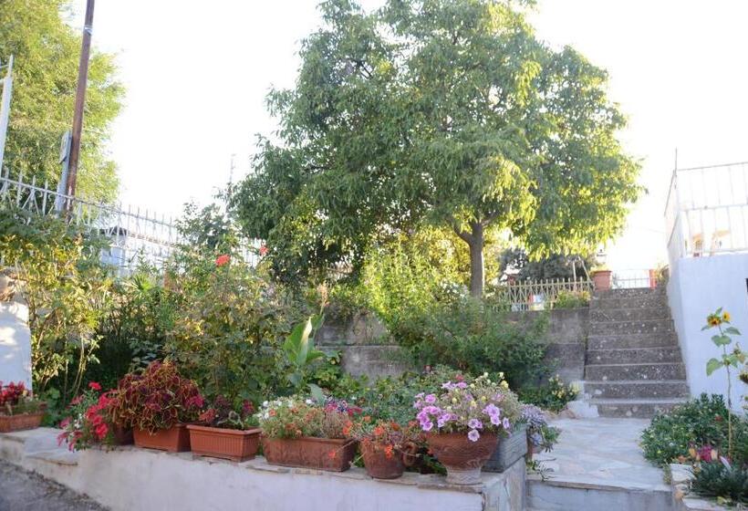 住宿加早餐  Sa Nuche