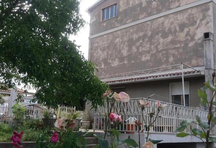 住宿加早餐  Sa Nuche