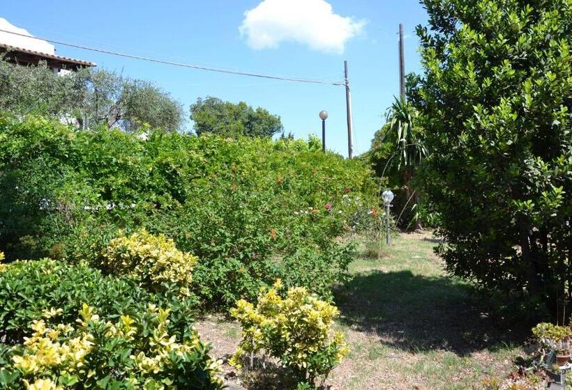 צימר Villa Adelina