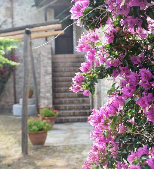 Отель Agriturismo Fellino