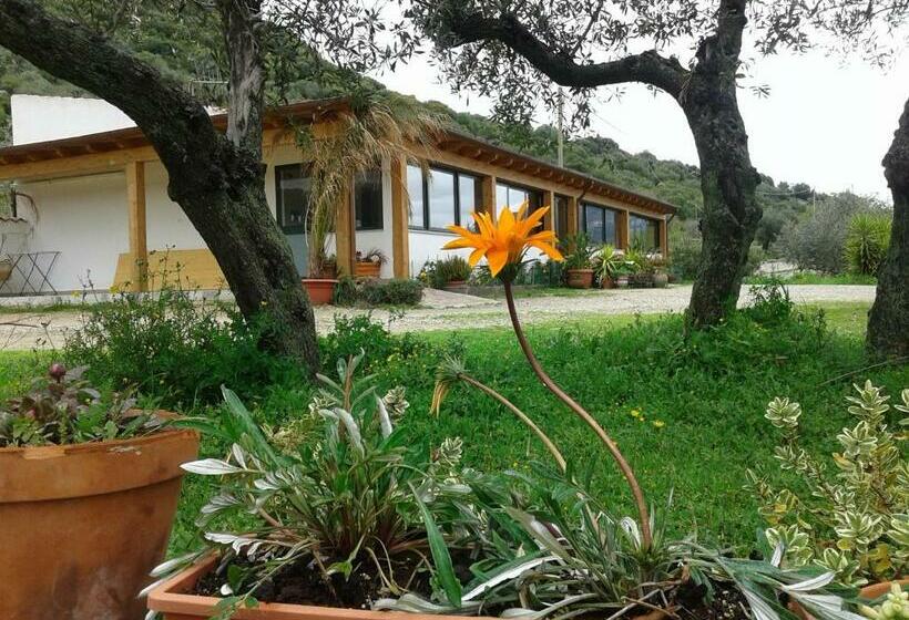 בית מלון כפרי Agriturismo Locoe