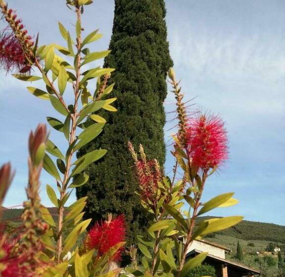 Отель Borgo Buciardella