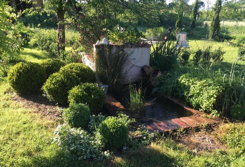 בית מלון כפרי Capannacce Organic And Horse Farm