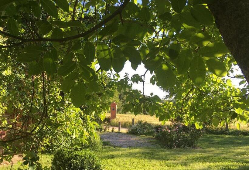 בית מלון כפרי Capannacce Organic And Horse Farm