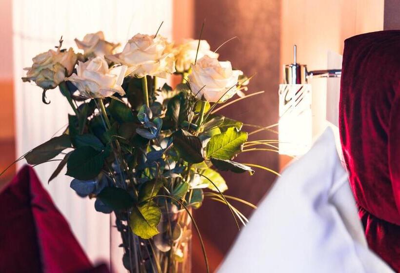 فندق Dreilandhof