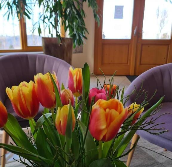 فندق Dreilandhof